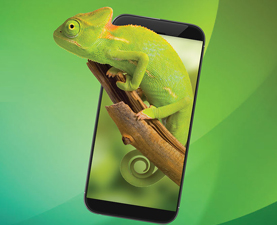 米兰app官方端网站入口